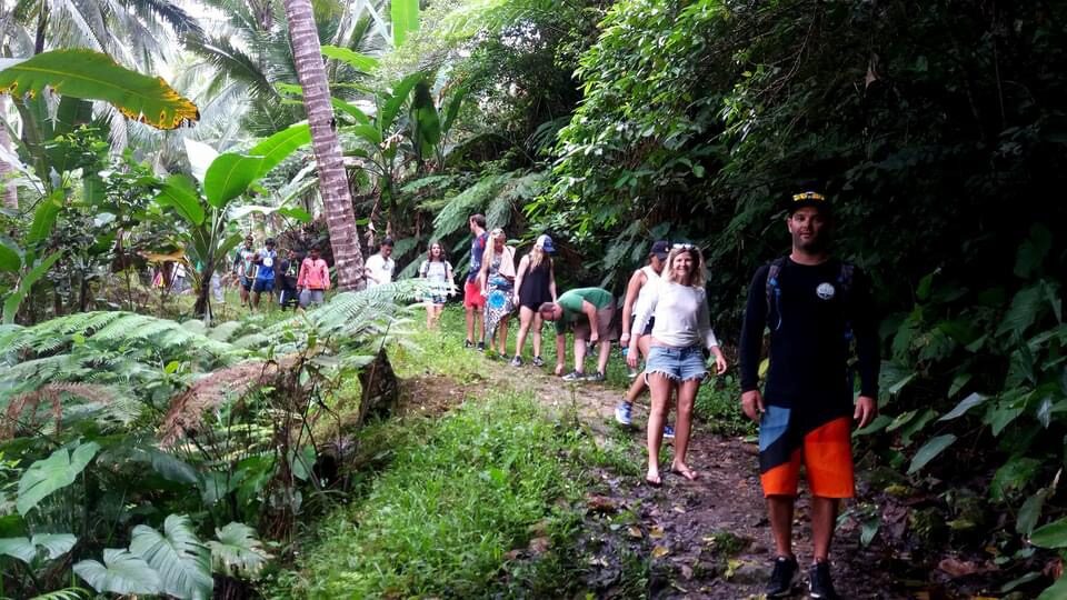 Group hiking a green jungle trail with a local guide