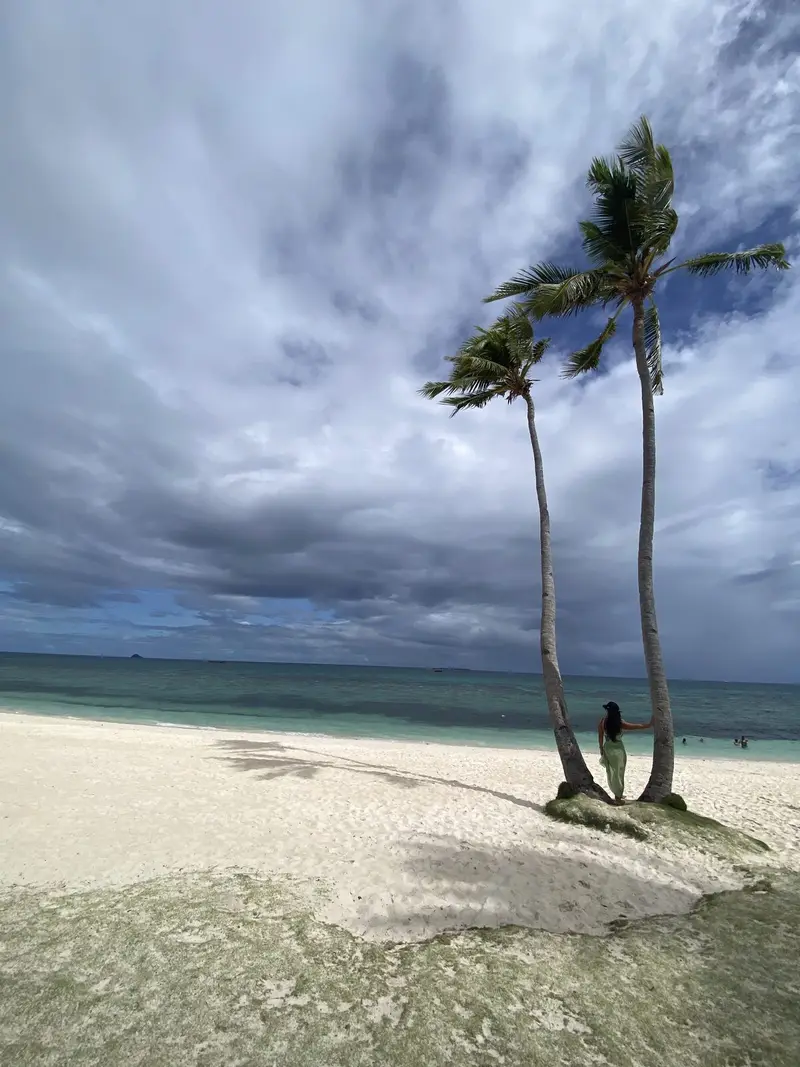 Palms and white sand under a moody sky at Malapascua